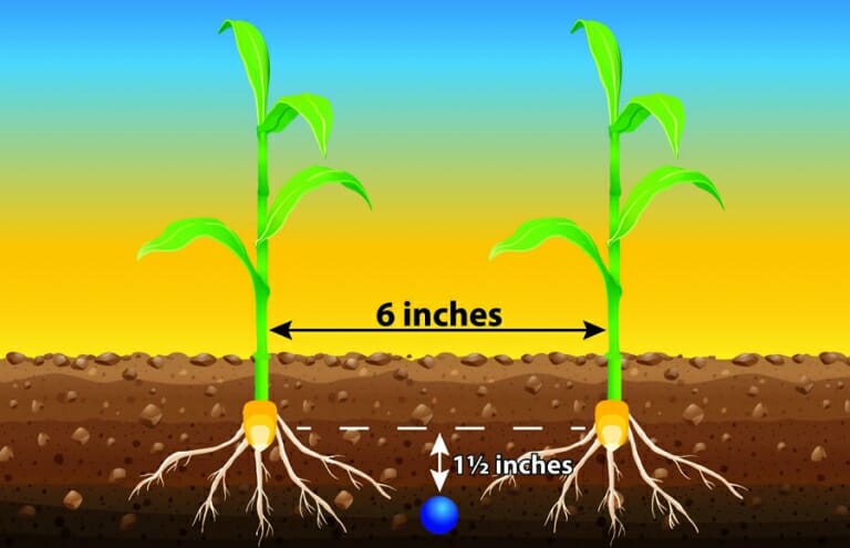 fertilizer-diagram - Amity Technology